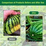 HASTHIP® Melon Cradle Squash Cradle 7.6 Inches Round Plastic Melon Cradle Melon Fruit Holder Plant Support Cradle for Melons, Squash