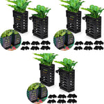 HASTHIP Aquarium Plant Holder for Fish Tanks featuring Hooks and Vent Design | 6PCS Plastic Set