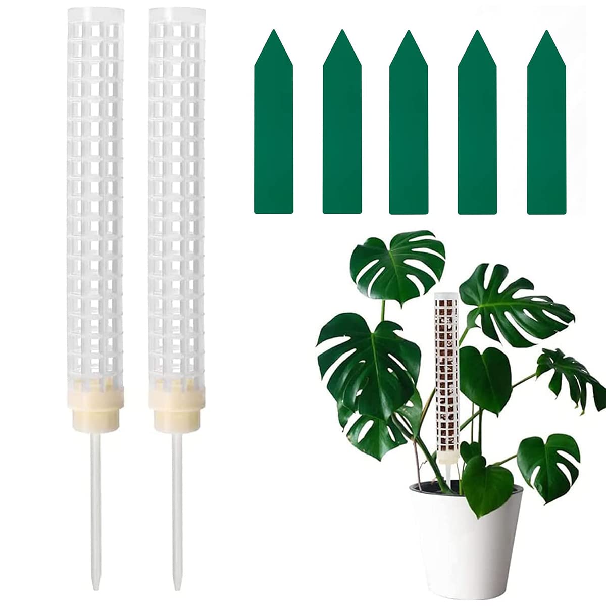 HASTHIP Moss Pole Stick for Climbing Plants with Fillable Design and Plastic Stakes | Includes 2 Poles
