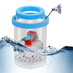 HASTHIP® Betta Fish Breeding Box – Transparent Aquarium Isolation Tank,Fish Hatchery Box for Guppy Fry,Shrimp and Small Durable High-Quality Acrylic Divider for Breeding and Protection