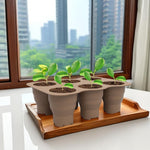 HASTHIP Silicone Seedling Germination Tray for Home Gardening with 6 Cells and Ventilation Holes