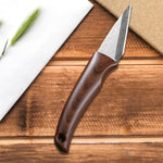 HASTHIP Grafting Tool for Fruit Trees and Roses with 2 Rolls 200 m Tape | Wooden Handle Stainless Steel Cutter