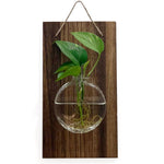 HASTHIP Glass Hydroponic Kit for Home Decor with Wooden Board and Hemp Rope | 18x33cm Wall Hanging Planter