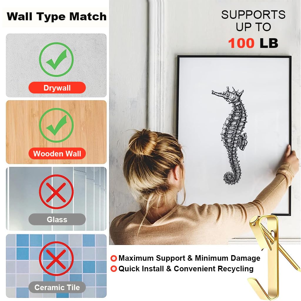 HASTHIP Picture Hanging Kit for Home and Office Decor with 330 pcs Steel Hooks and Nails | Easy Wall Mount Storage Box