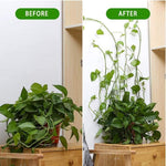 HASTHIP Wall Fixture Clips for Plant Climbing with Self Adhesive Hooks 150PCS White