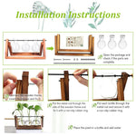 HASTHIP Hydroponics Glass Planter for Desktop Decor with Wooden Stand 3Pcs Set | 5.5H x 11W x 4D
