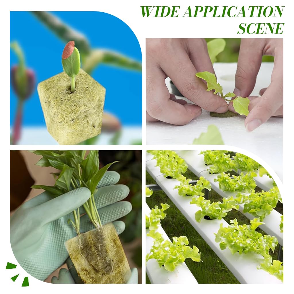 HASTHIP Seed Starter Rockwool for Germination and Cloning with 50 pcs 1 in Cubes | High Density Stonewool for Hydroponic Vegetables and Herbs