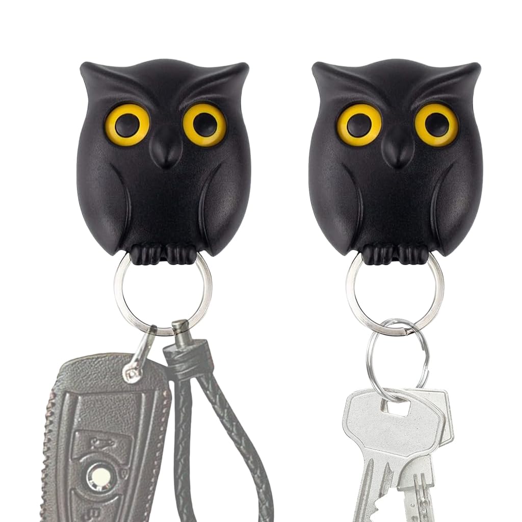 HASTHIP Key Mount Wall Organizer for Entryway with Push-in Key Grip and Blink Eye Owl Design