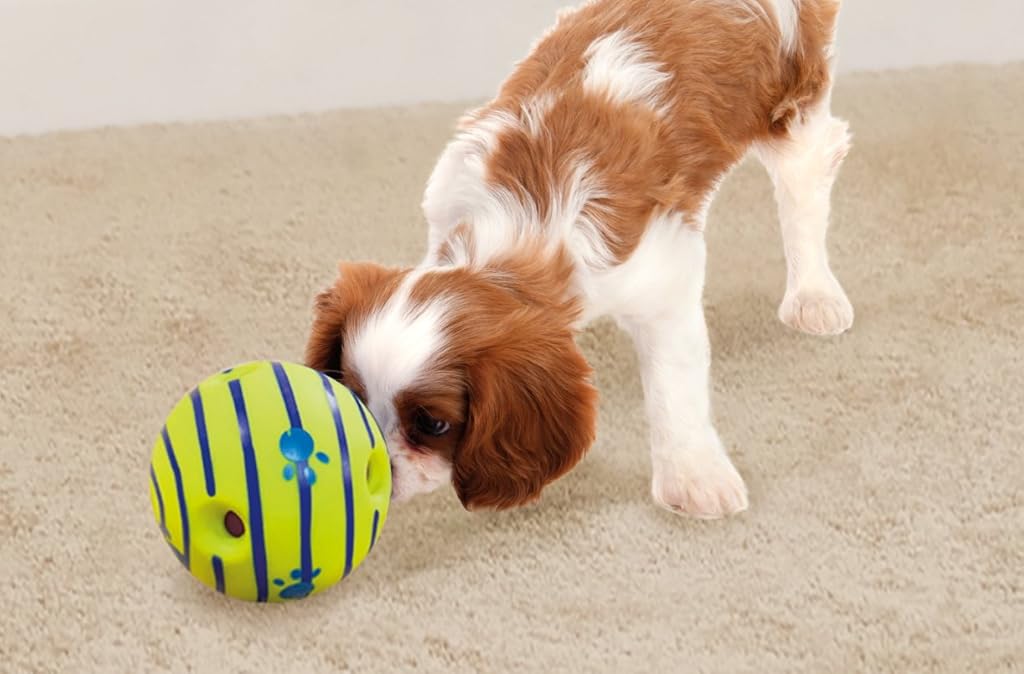 HASTHIP® Interactive Toy Ball for Dog, Dog Toys Ball PVC Dog Molar Chew Ball Funny Pet Ball Chewing Toy Ball Toy for Dog Medium Large Pet Dogs