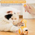 HASTHIP® Cat Toy, Smart Obstacle Avoidance Interactive Cat for Indoor Cat, 2-