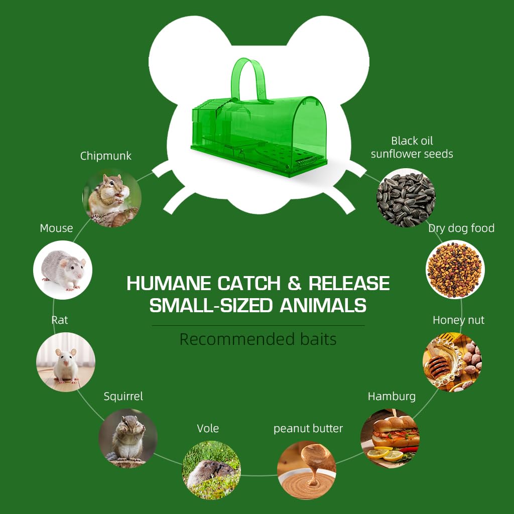 HASTHIP® 2 Piece Large Mouse Trap with Handle - 7.9 Inches Green Large Rat Trap - No-retreat Spring loaded Door Mouse Trap - Humane Mouse Trap - Easy to Set Up - Mouse Catcher Reusable
