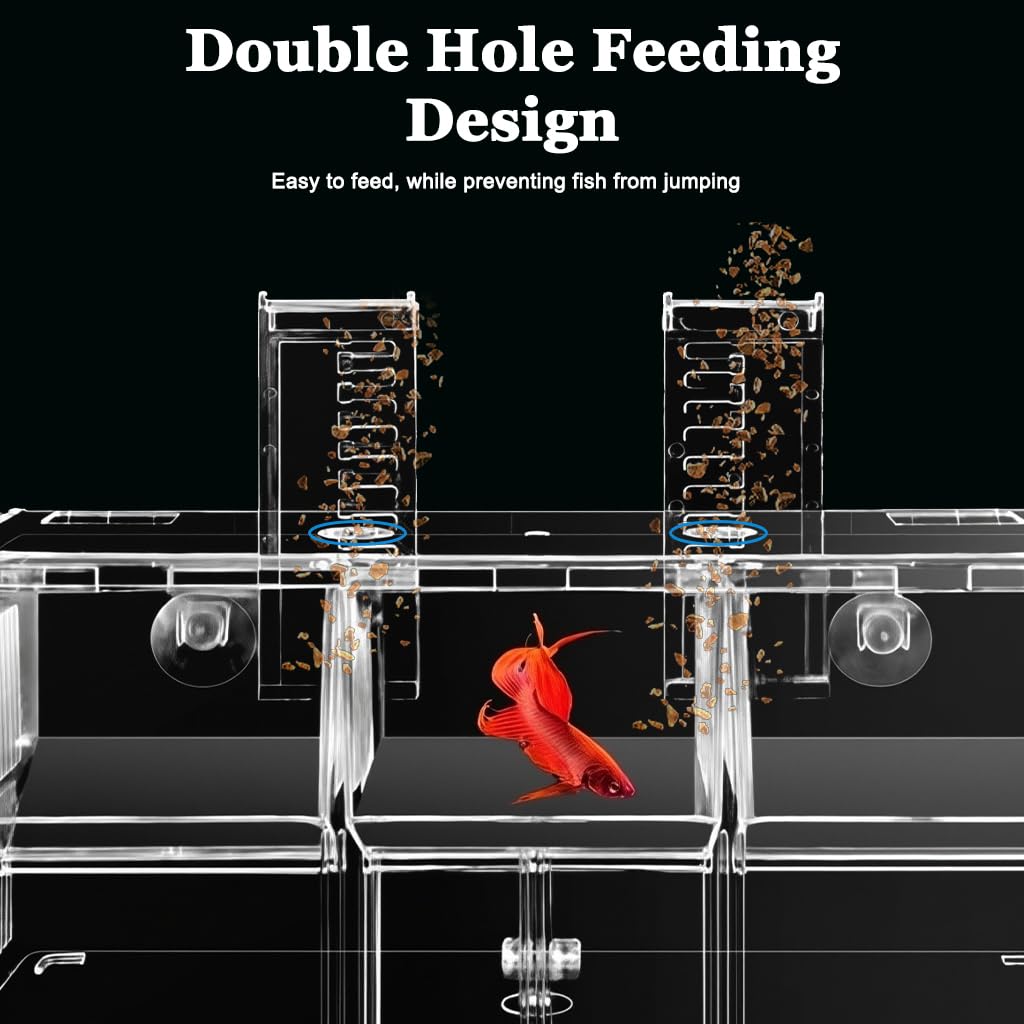 HASTHIP® Guppy Breeding Box Aquarium Isolation