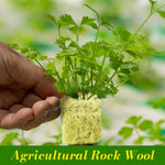 HASTHIP Seed Starter Rockwool for Germination and Cloning with 50 pcs 1 in Cubes | High Density Stonewool for Hydroponic Vegetables and Herbs