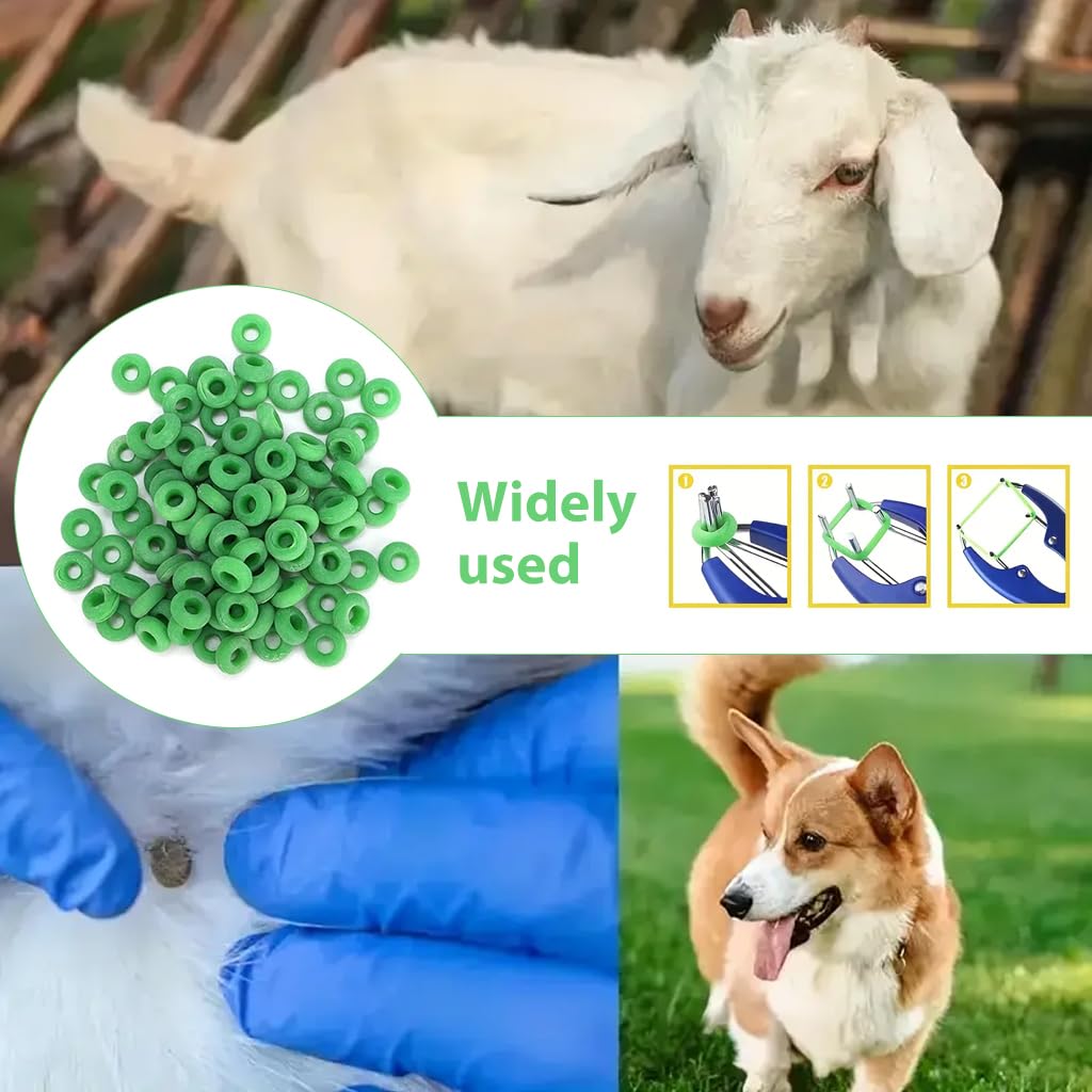 HASTHIP Lamb Tail Docking Rings 100 pcs 0.24 in Inner Diameter Rubber for Newborns | Bloodless Elastrator Application