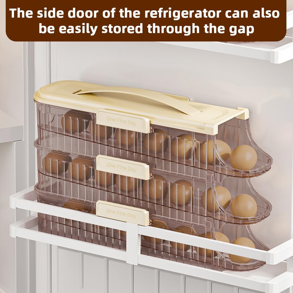 HASTHIP Egg Holder for Fridge with Automatic Rolling 3 Tiers and Removable Clear Tray