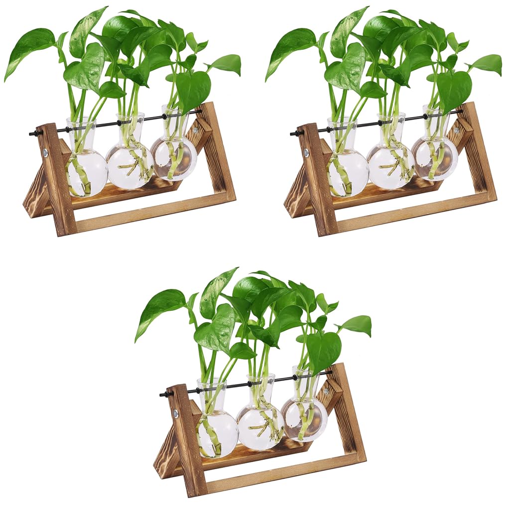 HASTHIP Hydroponics Glass Planter for Desktop Decor with Wooden Stand 3Pcs Set | 5.5H x 11W x 4D