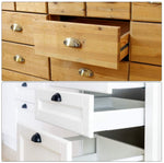 HASTHIP Cabinet Knob Pull Handle for Home and Office Drawers featuring 30 pcs Antique Brass Shell Design