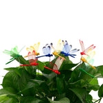 HASTHIP® 3D Dragonfly Balcony Decoration Items - 24 Pieces Garden Decoration Items - 25 CM Color Dragonflies Garden Stakes - Dragonflies Garden Decor - Indoor/Outdoor Plant Support Sticks