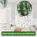 HASTHIP Plant Saucers for Indoor and Outdoor Use with Grooved Drainage Base 12 Pack | Clear Plastic Trays in 6 8 10 12 in Sizes