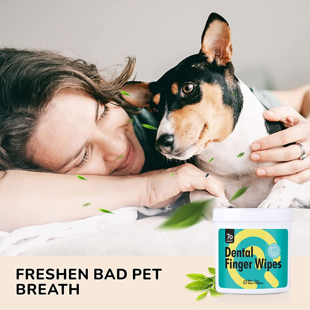 HASTHIP® Toallitas Dentales para Perros y Gatos 50 Uds,Toallitas de Limpieza Dental con Menta,para Dientes de Mascotas Elimina Placa y Mal Aliento Cuidado Oral Natural con Aloe