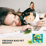 HASTHIP® Toallitas Dentales para Perros y Gatos 50 Uds,Toallitas de Limpieza Dental con Menta,para Dientes de Mascotas Elimina Placa y Mal Aliento Cuidado Oral Natural con Aloe