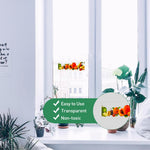 HASTHIP® 30Pcs Fly Trap Kit for Insects, Aphids, Leaf Minor, Thriphs, Ultra sticky Transparent Fly Trap Sticky Strips, Fruit Print Sticky Fly Trapfor Wall, Kitchen, Window, Room (22cm x 8cm )