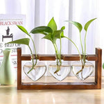 HASTHIP Hydroponic Glass Vase Kit for Desktop Decor with 3 Heart Planters & Wooden Stand