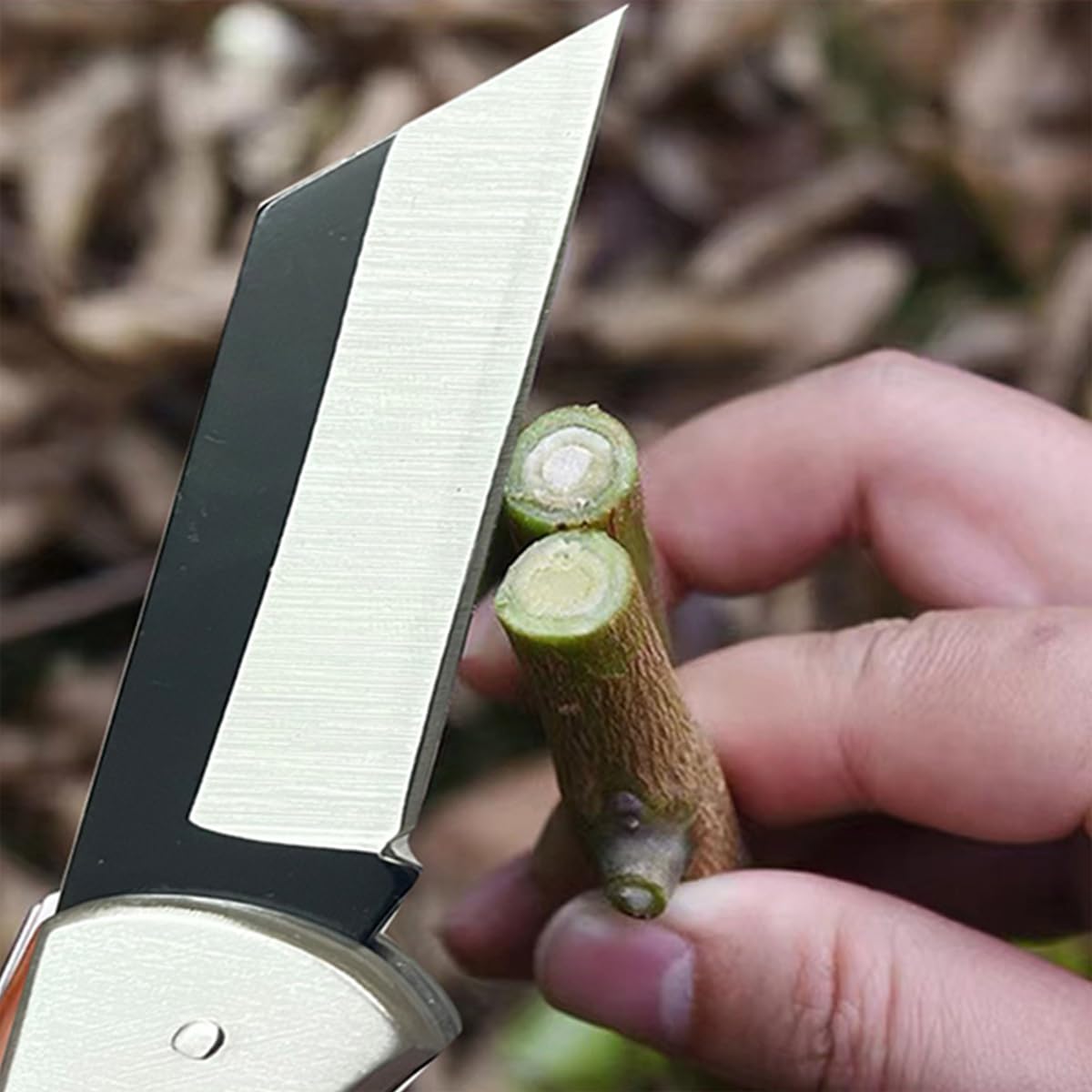 HASTHIP Grafting Cutter for Gardening with Anti Slip Wooden Handle and Stainless Steel Blade | Portable Pocket Design