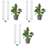 HASTHIP Plastic Moss Pole for Monstera and Pothos 6pcs 23.62in | Hollow Out Upright Growing Support