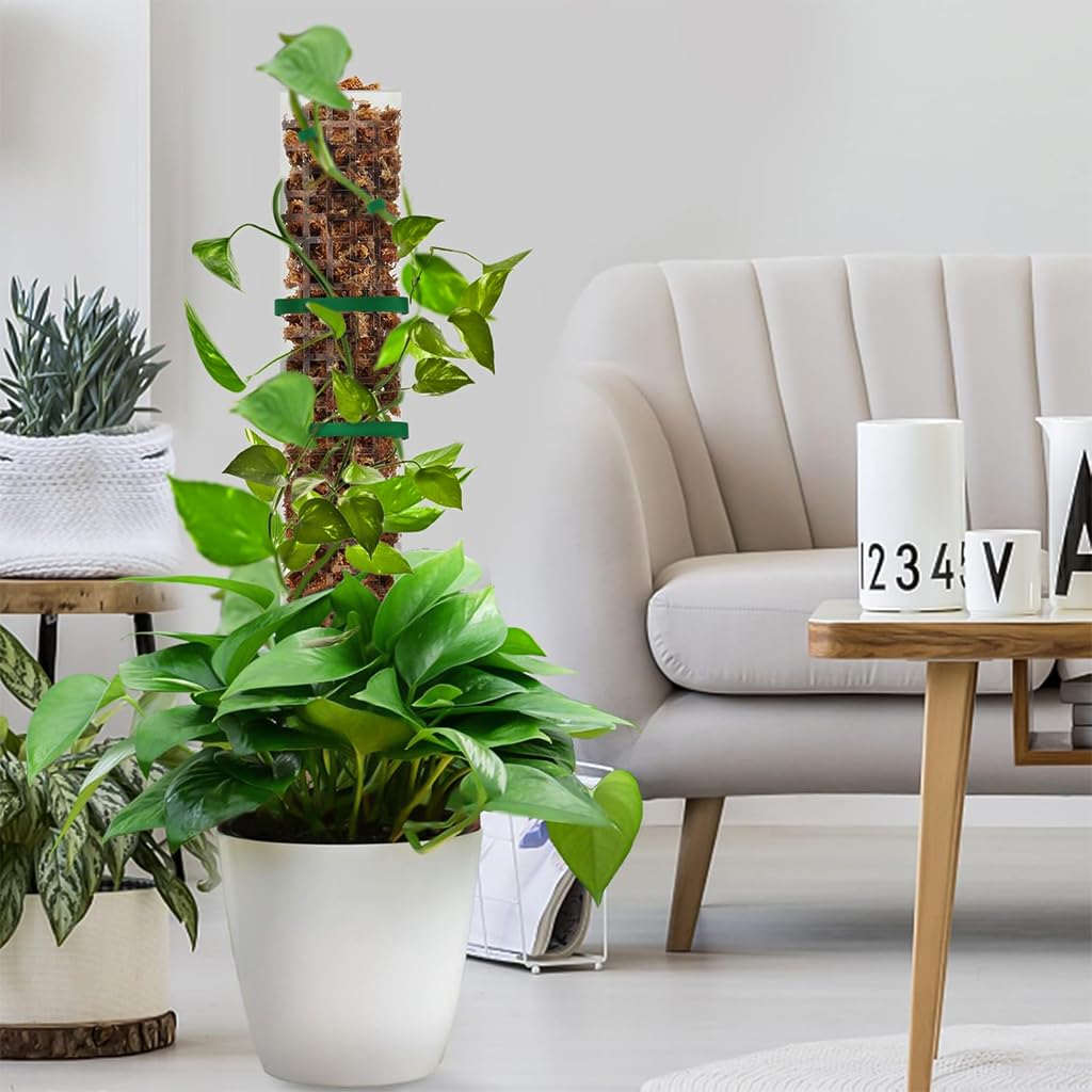 HASTHIP Plastic Moss Pole for Monstera and Pothos Climbing 23.62 in | Hollow Upright Design
