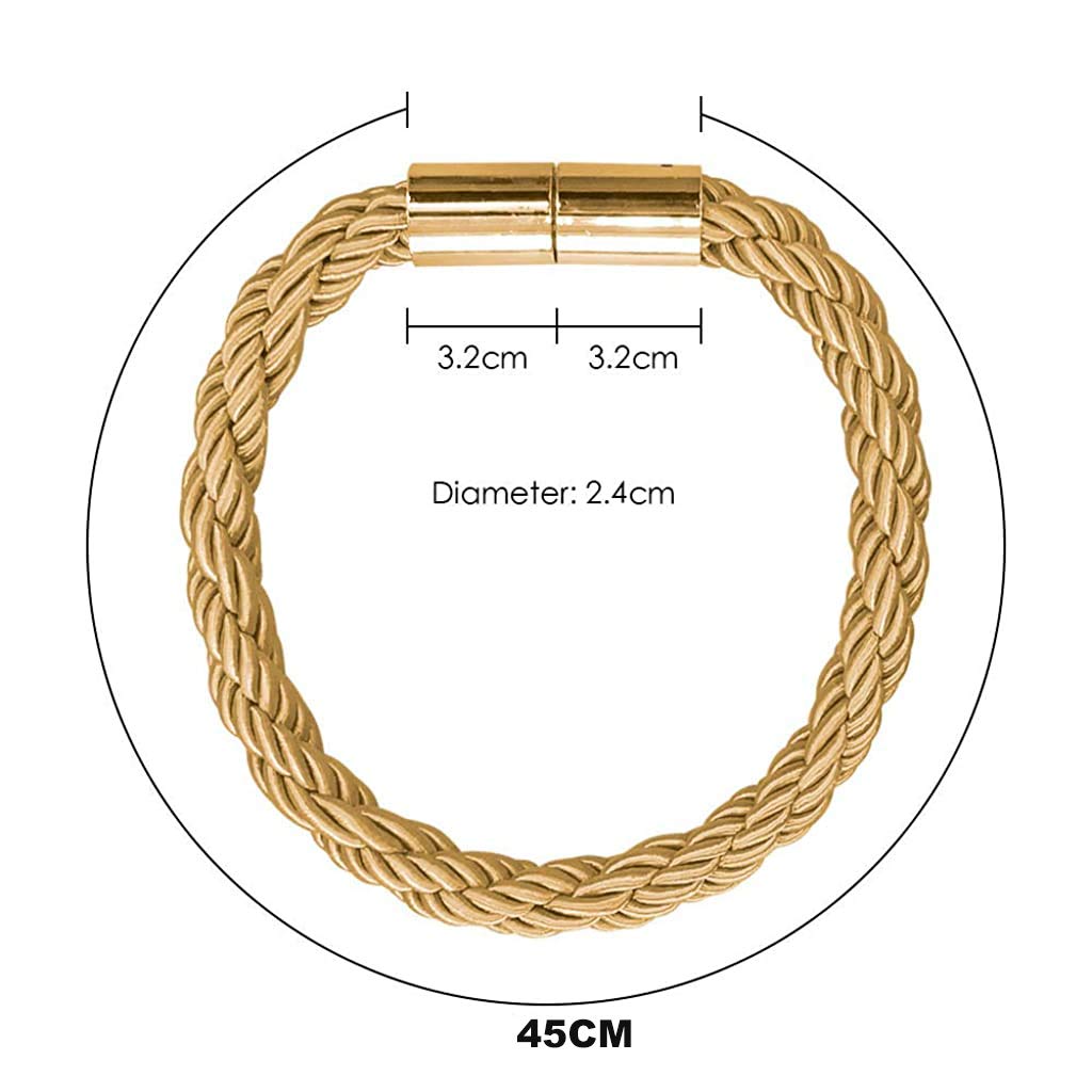 HASTHIP Brass Curtain Clips for Drapes with Strong Magnetic Hold 2 Pieces Gold | No Hook Needed