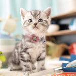 HASTHIP® Cat Belt, Cat Collar with Bell, Pink Flower Cat Collar Soft & Comfortable, Cute Pet Collar Silver Cat Bell Collar