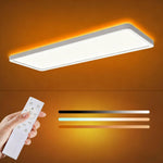 Hasthip 48W LED Ceiling Light with Remote Control & Dimmable Design