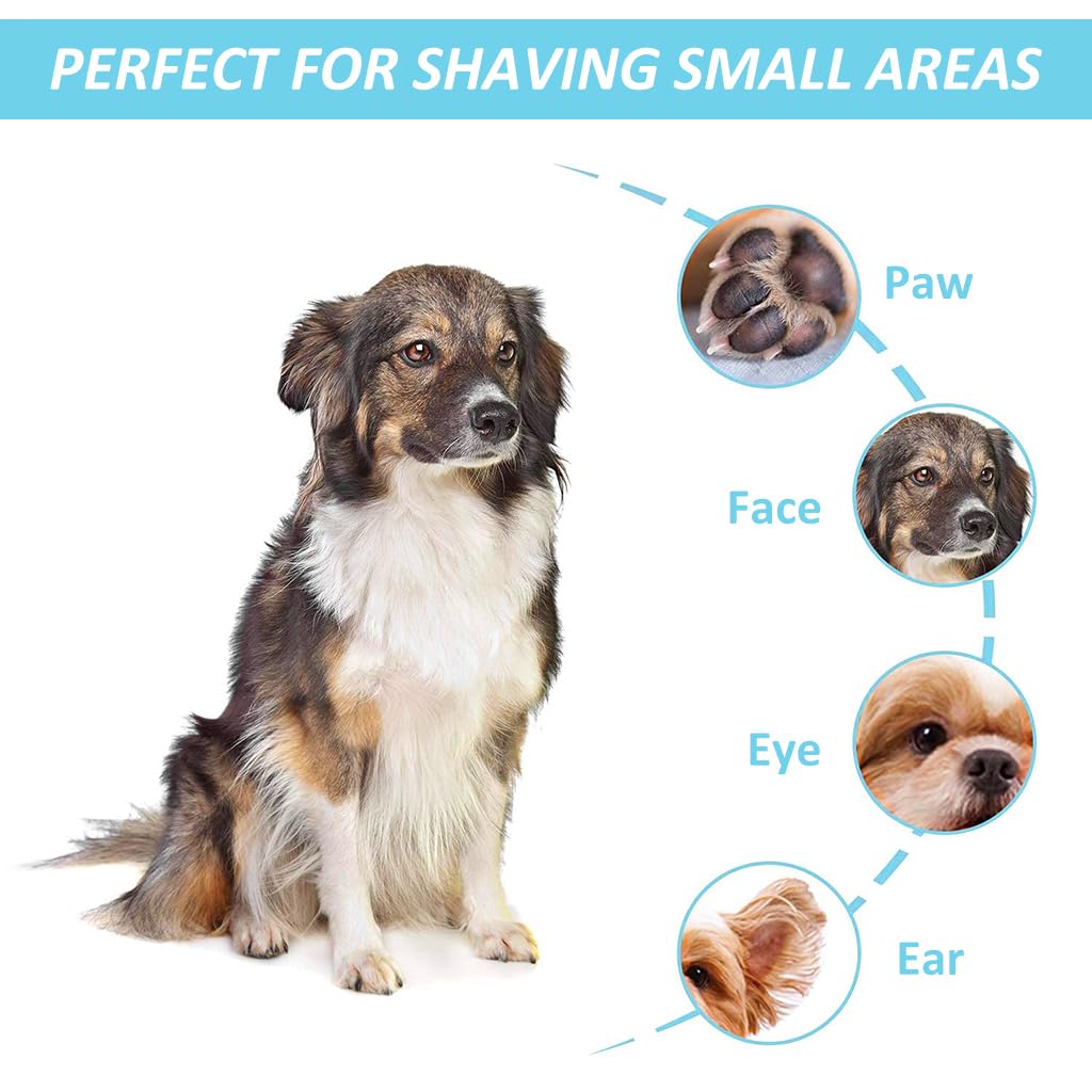 Qpets® Cat Dog Trimmer for Paw - Small Area Hair Trimmer & Nail Grinder with LED Light, Low Noise, USB Rechargeable, Pen Shape Design, 2 Interchangeable Bits