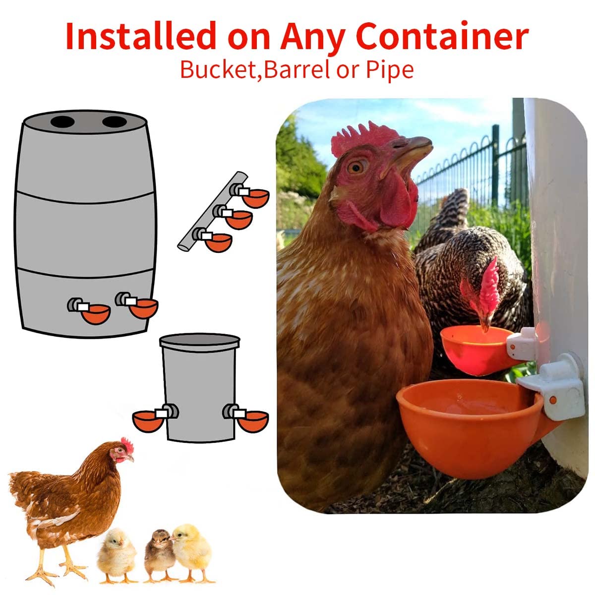 HASTHIP Chicken Drinking Cup for Barrel Feeders with Auto Refill Mechanism Set of 5 | Plastic Poultry Waterer