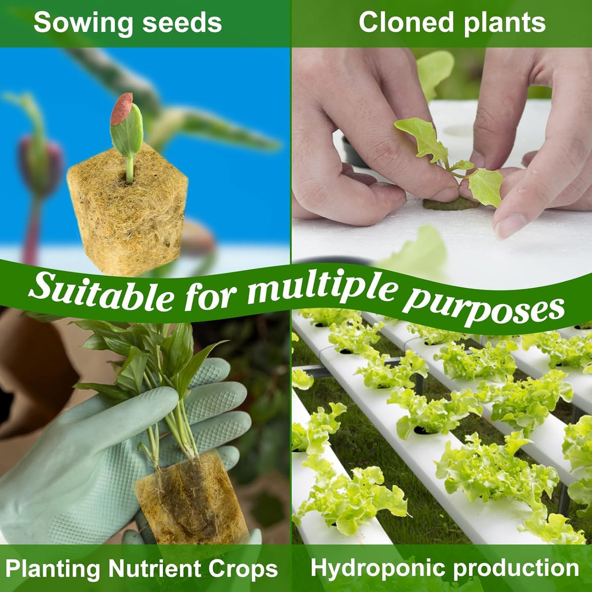 HASTHIP Seed Starter Rockwool Cubes for Hydroponics and Seedlings 100 pcs 0.98 in Cuttable Pads