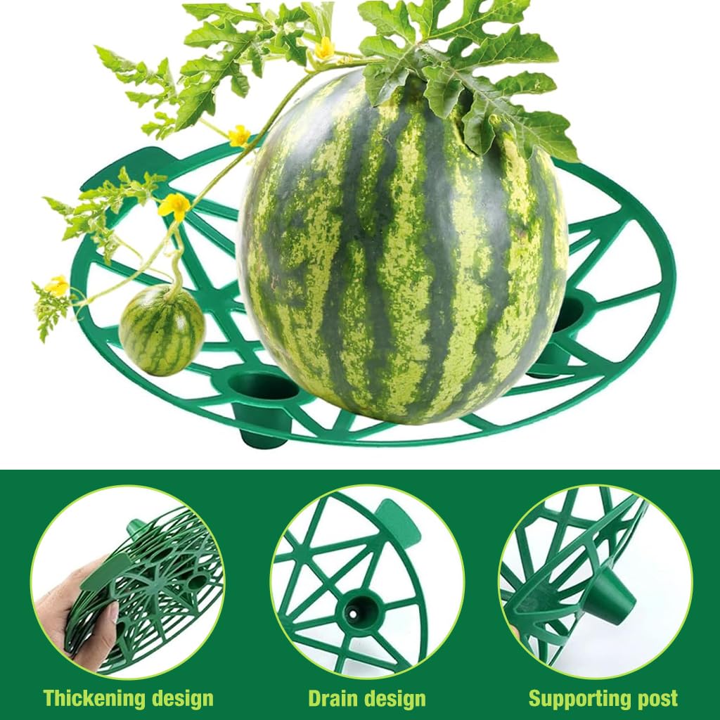 HASTHIP Strawberry Plant Supports for Clean Fruit Growth with 31cm Grid Stand | Weather‑Resistant Plastic