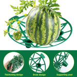 HASTHIP Strawberry Plant Supports for Clean Fruit Growth with 31cm Grid Stand | Weather‑Resistant Plastic