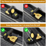 HASTHIP Rat Trap for Home with Quick Trigger Mechanism and Reusable ABS Design | 2Pcs