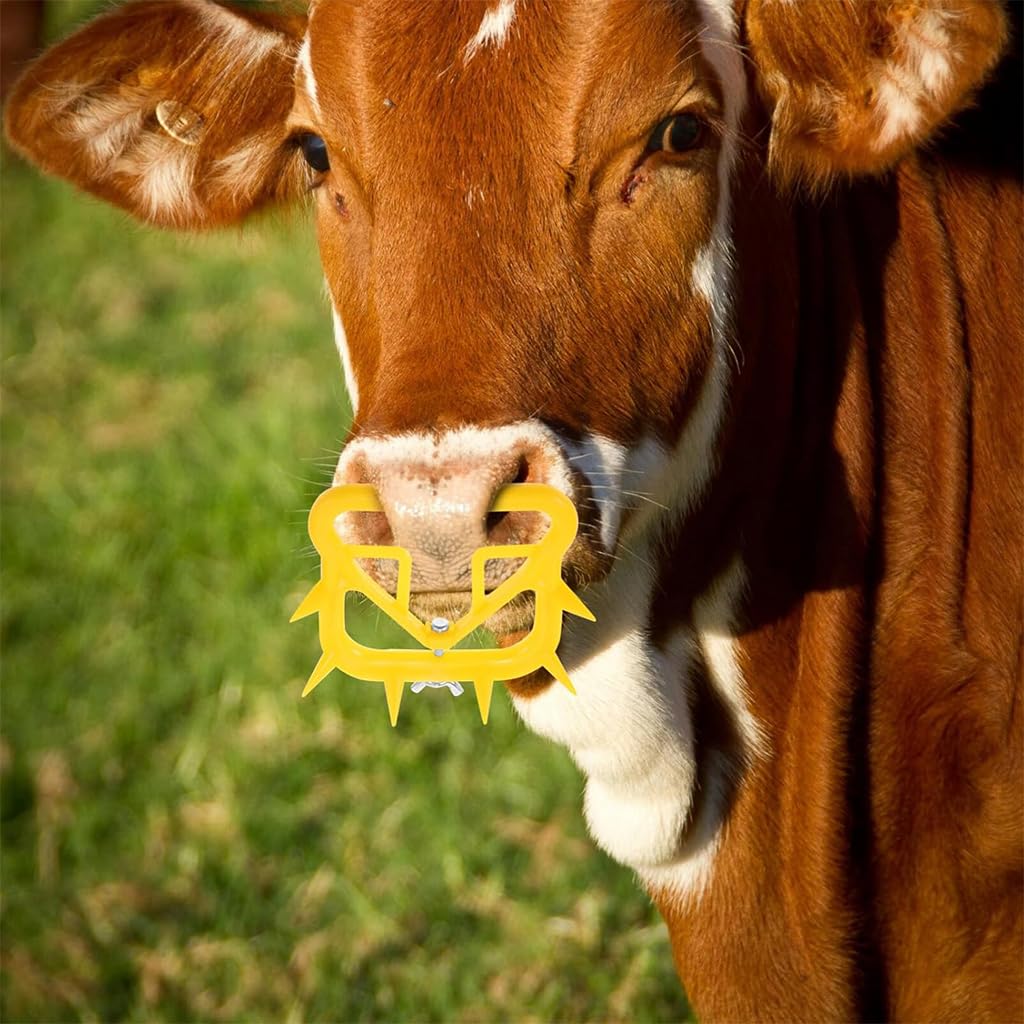 HASTHIP Cattle Weaning Rings 12pcs featuring Screw Fix Adjustable Design in Plastic PVC