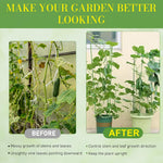HASTHIP Plant Supports for Branch Stability with Flexible Frog Twist Ties 3 pcs | Green Cartoon Design