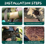 HASTHIP Plant Rooting Ball for Air Layering and Cloning | 6-Pack Reusable Pods for Garden Growth