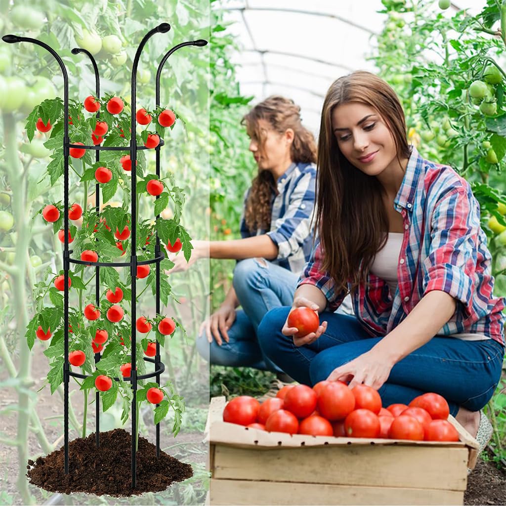 HASTHIP Flower Trellis for Climbing Plants 130cm with Open Roof Design | Sheathed Steel Frame