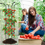 HASTHIP Flower Trellis for Climbing Plants 130cm with Open Roof Design | Sheathed Steel Frame