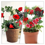 HASTHIP® Metal Plant Support Sticks - 2 Pcs Butterfly Plant Stakes - 12 Inches Plant Garden Stakes - Trellis For Climbing Plants Indoor/Outdoor - Creeper Plant Support for Amaryllis Orchid Lily Rose