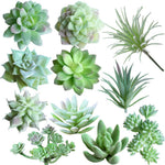 11Pcs Artificial Succulent Plants, Faux Succulent in Flocked Green in Different Type Different Size, Mini Artificial Plants Desk Decor, Computer Desktop Decoration