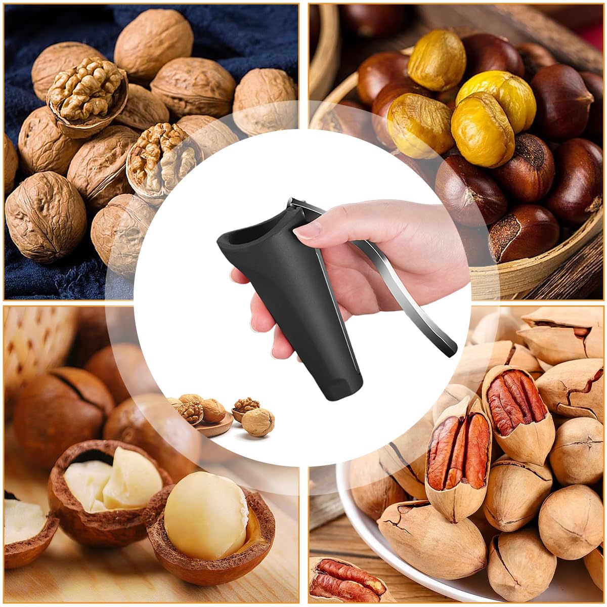 HASTHIP Nutcracker for Walnuts and Hard Shell Nuts with Cone Container & Lever Handle | Compact Kitchen Tool