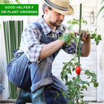 HASTHIP Plant Support Stakes for Climbing Plants featuring 120cm x 8mm Steel Core | Green Rust‑Resistant Rods