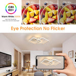 ELEPHANTBOAT® 50W Ceiling Light Modern LED Acrylic Square Ceiling Lamp, Large 3000K Warm White light Lighting Fixtures for Living Room Bedroom Kitchen Study Office, 59CM
