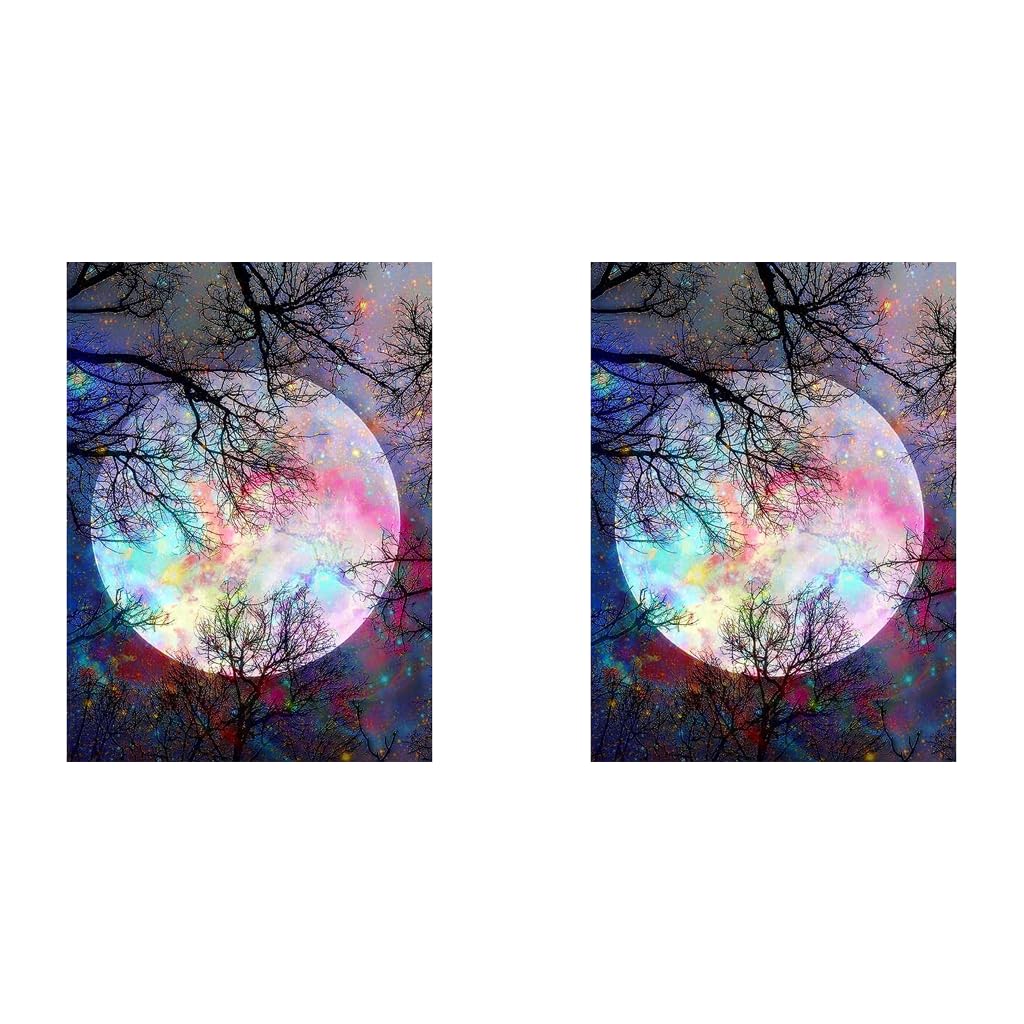 HASTHIP® Diamond Painting Kit 30 x 40cm Bright Moon 5D for Adults Kids Art Wall Hangings Super Night Scene Home Decor 2PCS